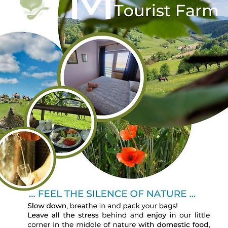 Masnec Tourist Farm Villa Miljana Luaran gambar