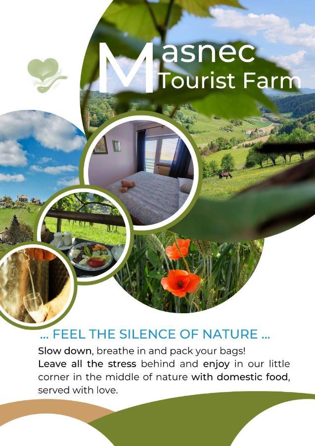 Masnec Tourist Farm Villa Miljana Luaran gambar