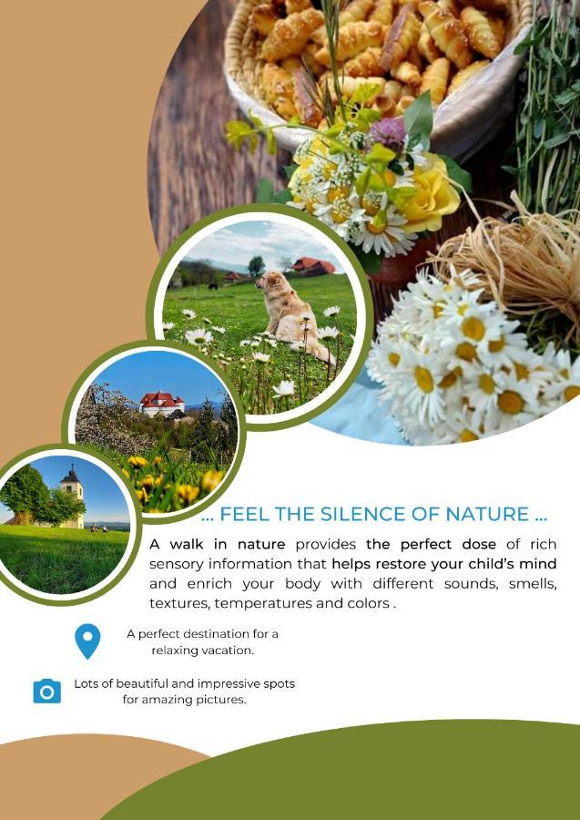 Masnec Tourist Farm Villa Miljana Luaran gambar